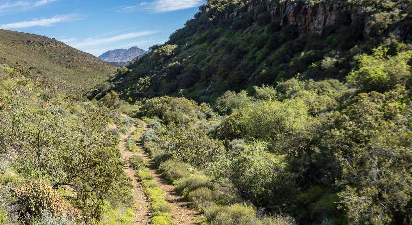 Photo of Others in Montagu