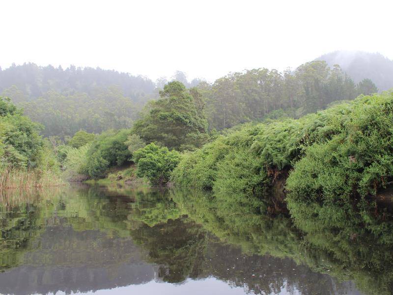 Photo of Others in Knysna
