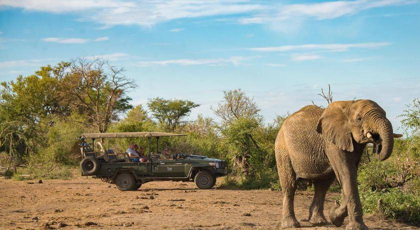 Photo of Others in Madikwe Game Reserve