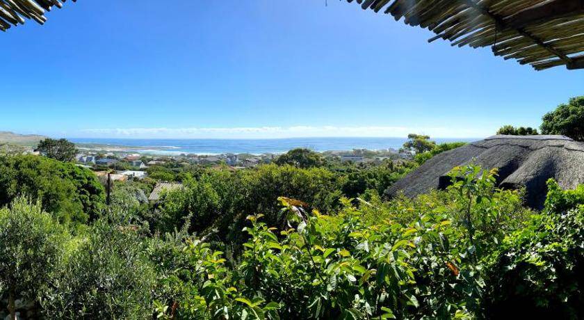 Photo of Others in Cape Peninsula