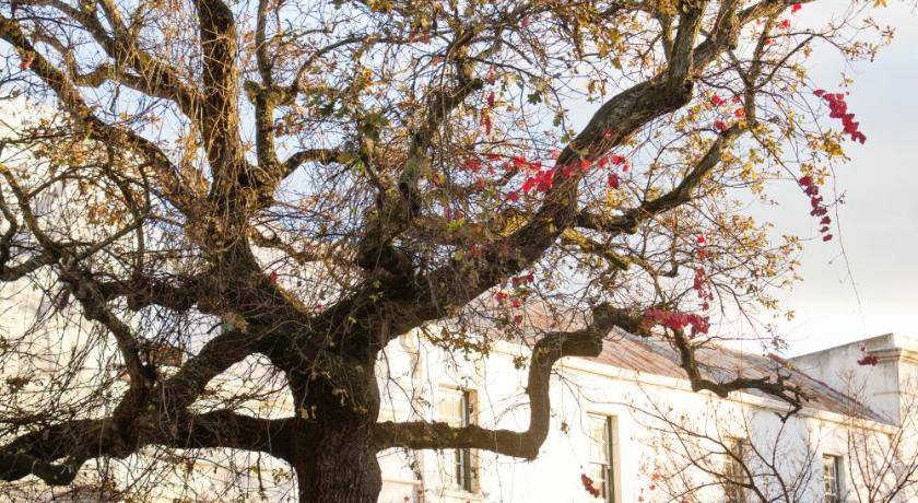 Photo of Others in Stellenbosch Central