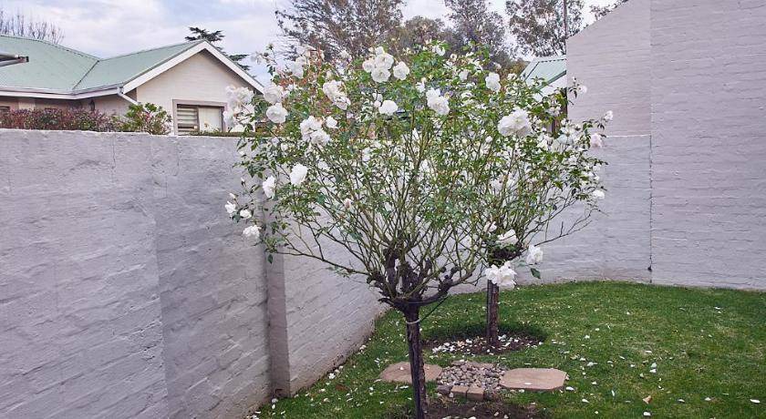Photo of Others in Clarens