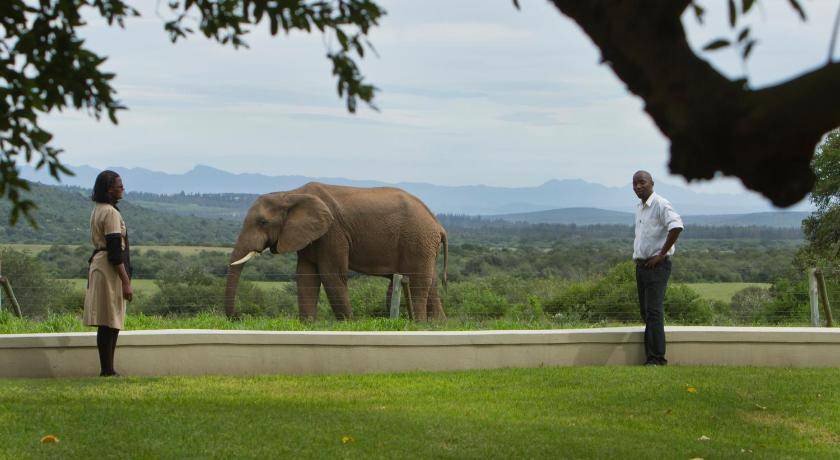 Photo of Others in Addo