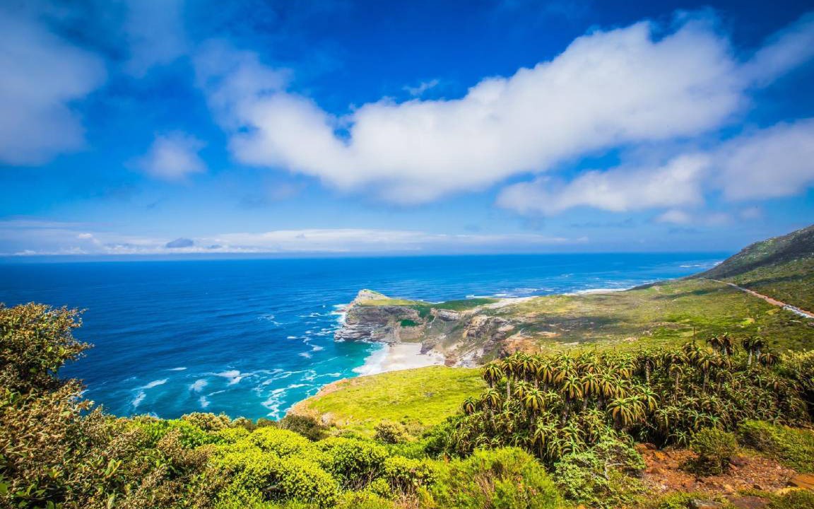 Photo of Others in Simon's Town