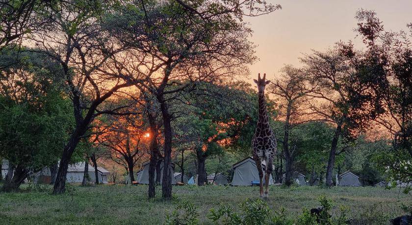Photo of Others in Nkomazi