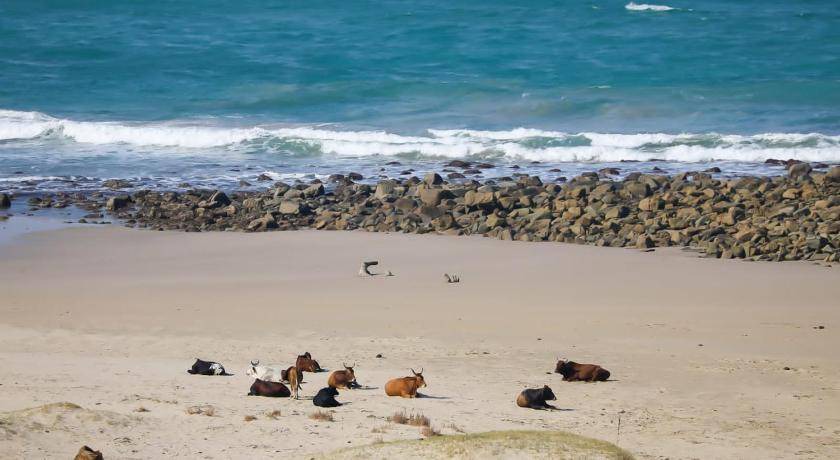 Photo of Others in Port St Johns