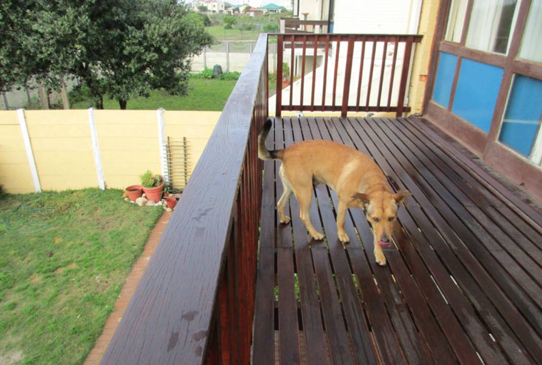 Photo of Others in Muizenberg
