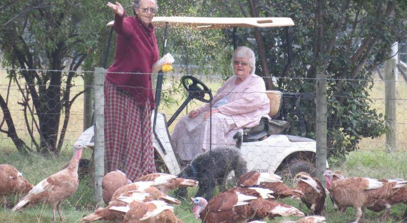 Photo of Others in Muldersdrift