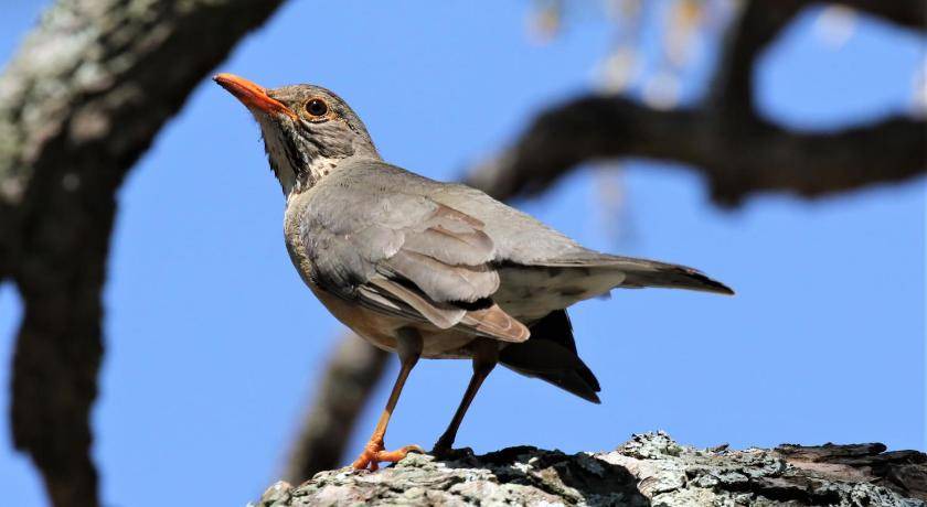 Photo of Others in Nelspruit