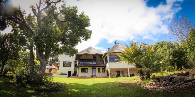Photo of Others in Somerset West