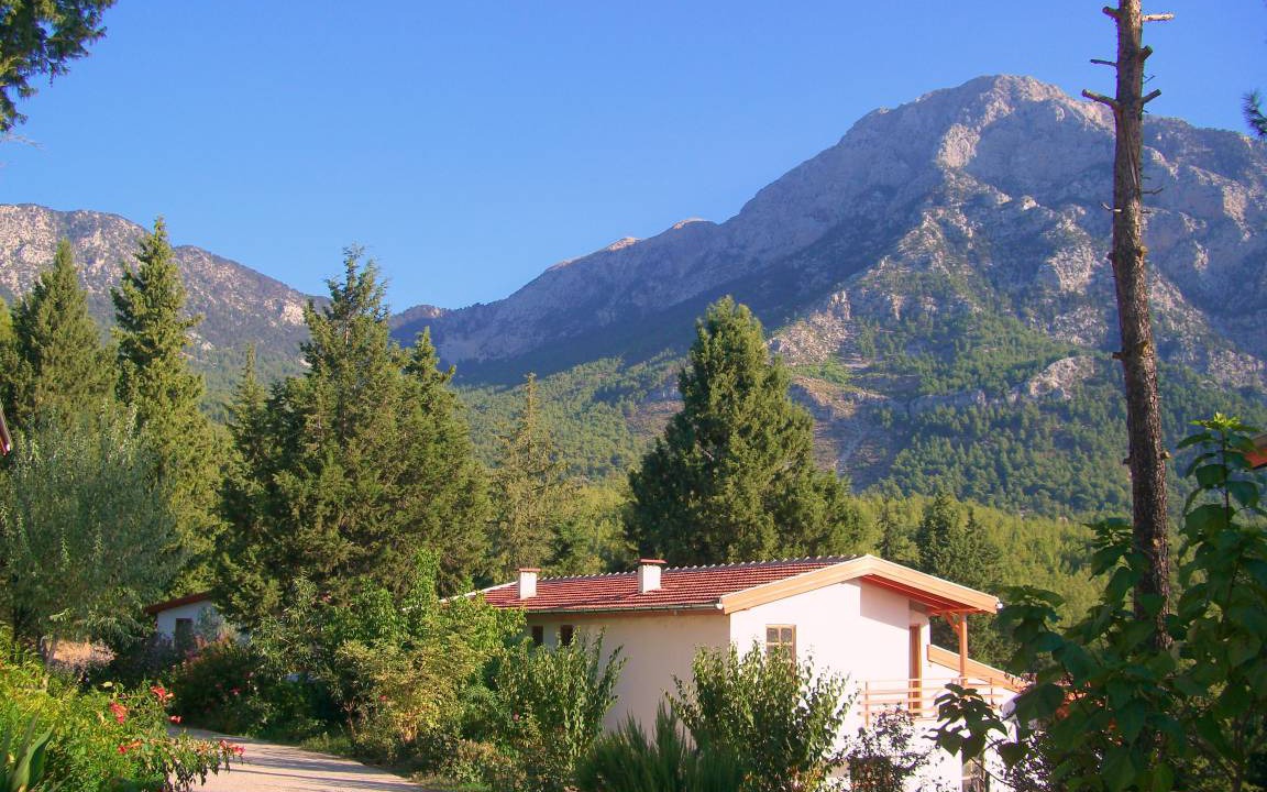 Photo of Others in Beycik