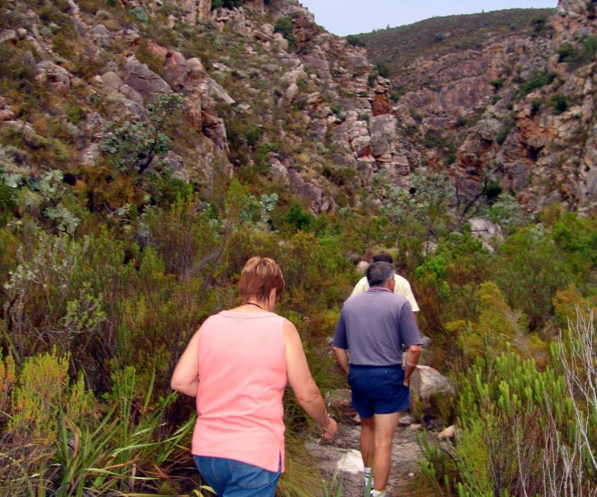 Photo of Others in Robertson