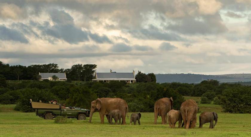 Photo of Others in Addo
