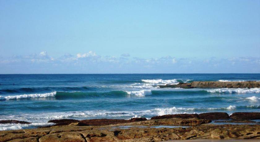 Photo of Others in Shelly Beach