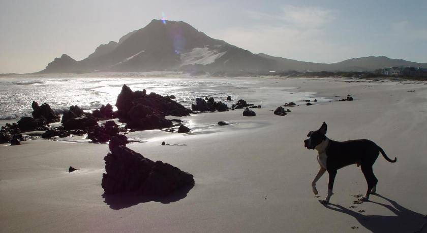 Photo of Human In Picture in Betty's Bay