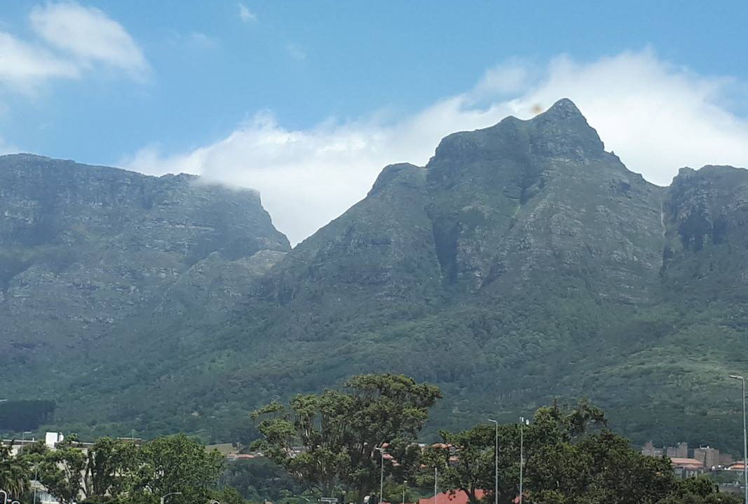 Photo of Others in Newlands