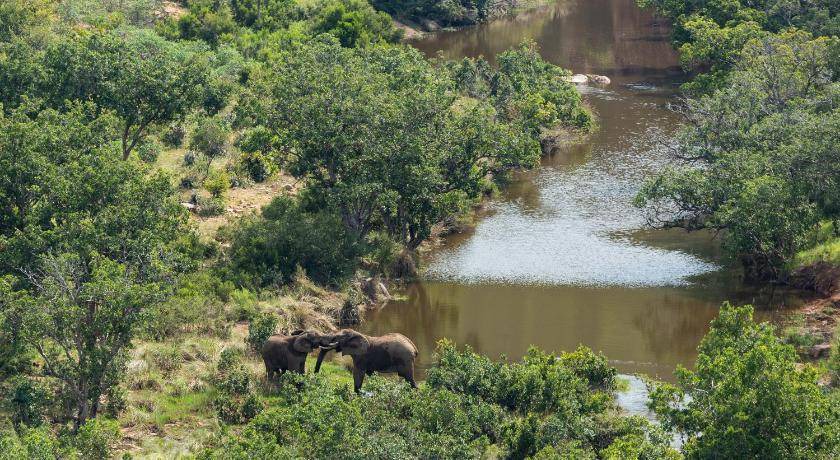 Photo of Others in Vaalwater