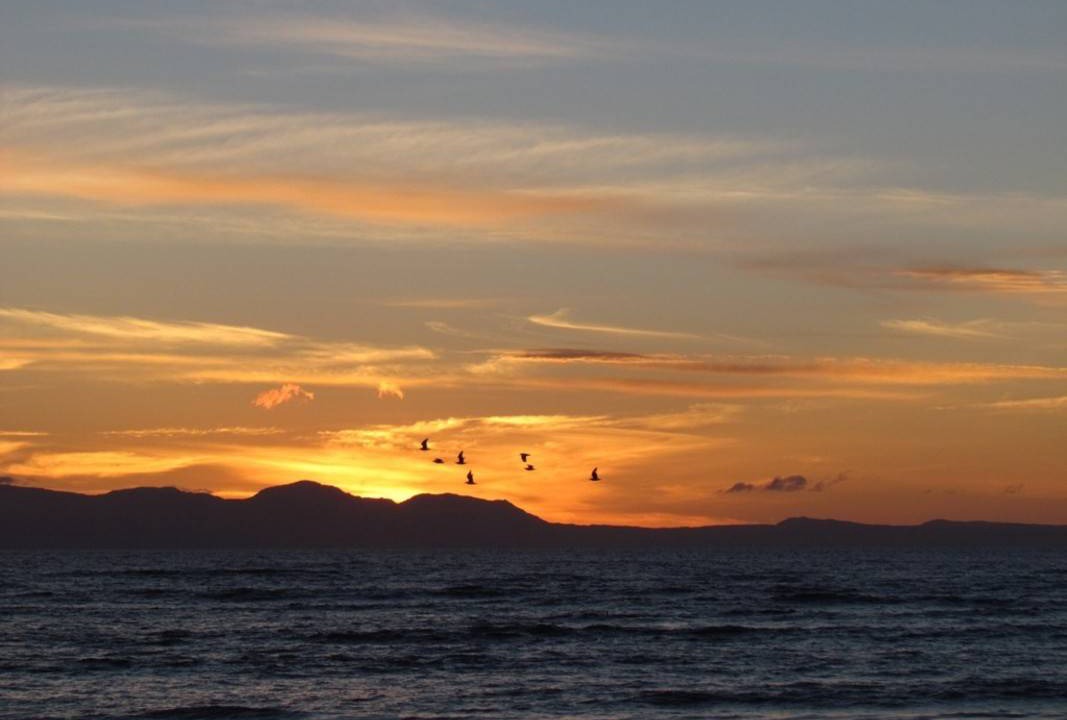 Photo of Others in Gordon's Bay