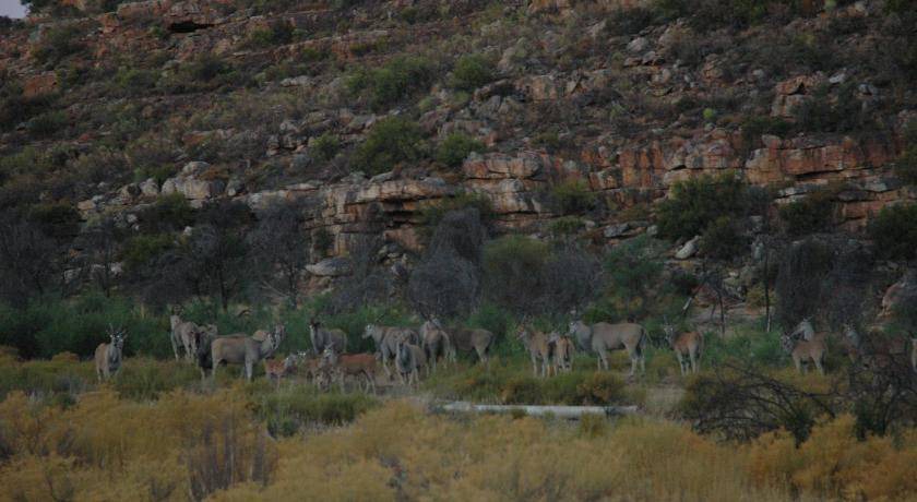 Photo of Others in Cederberg