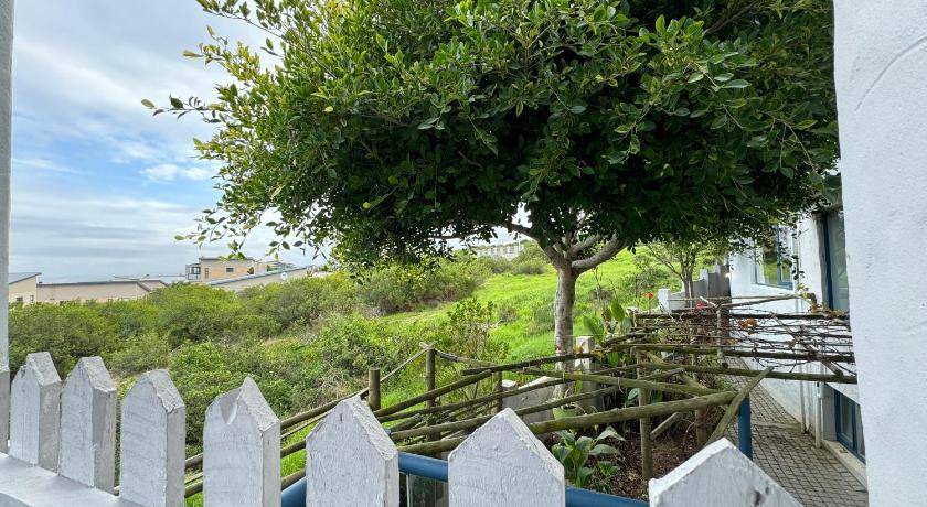 Photo of Others in Dana Bay