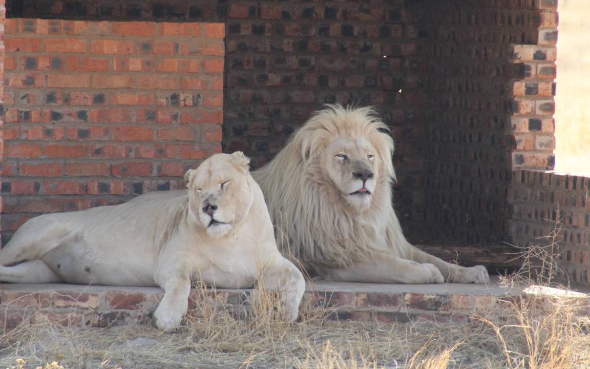 Photo of Others in Bloemfontein