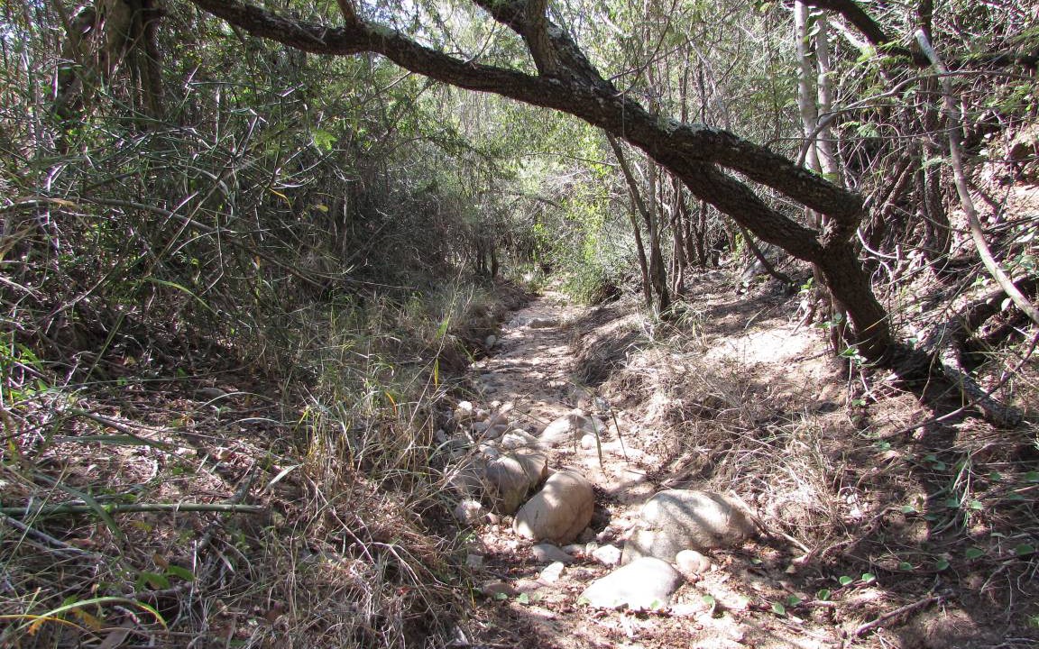 Photo of Others in Thorny Bush Game Reserve