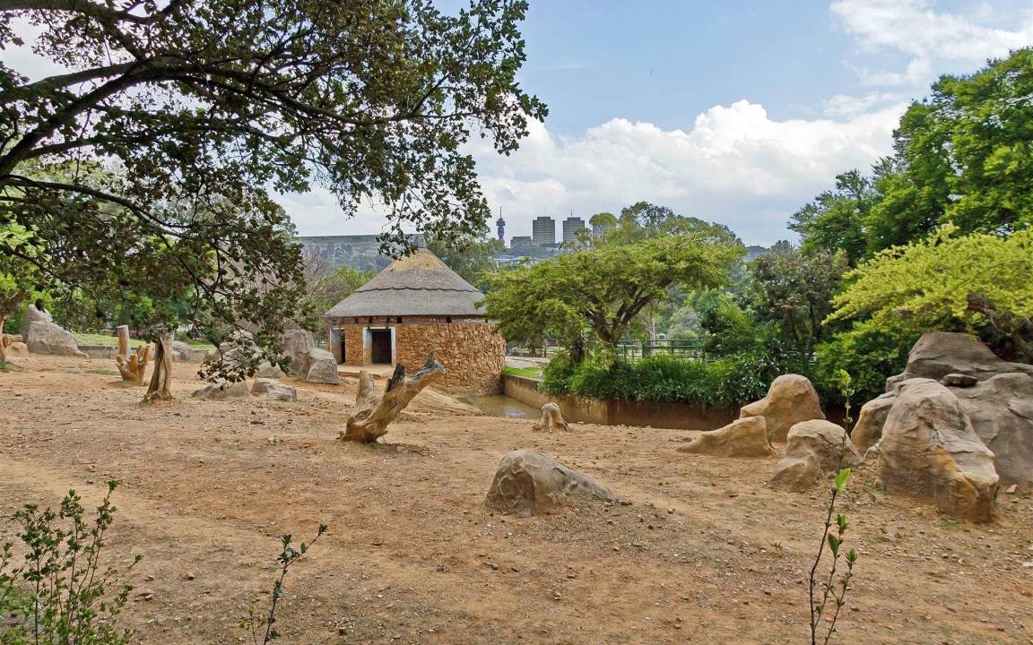 Photo of Others in Greater Johannesburg Metropolitan Area