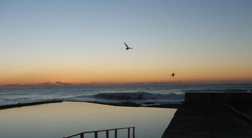 Photo of Others in Shelly Beach