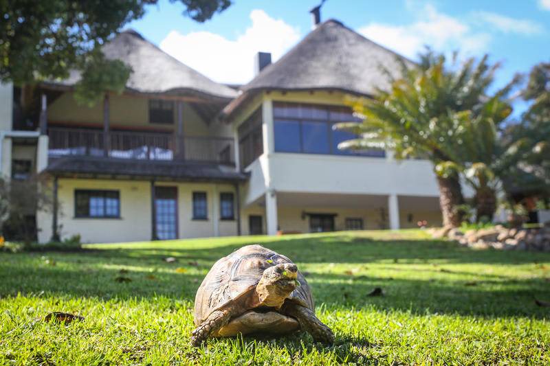 Photo of Others in Somerset West