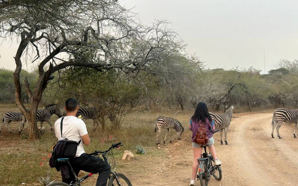Photo of Others in Marloth Park