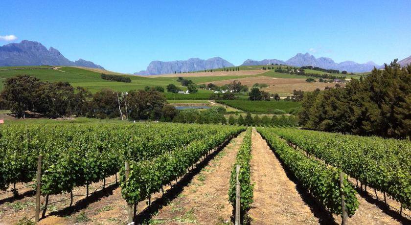 Photo of Others in Somerset West