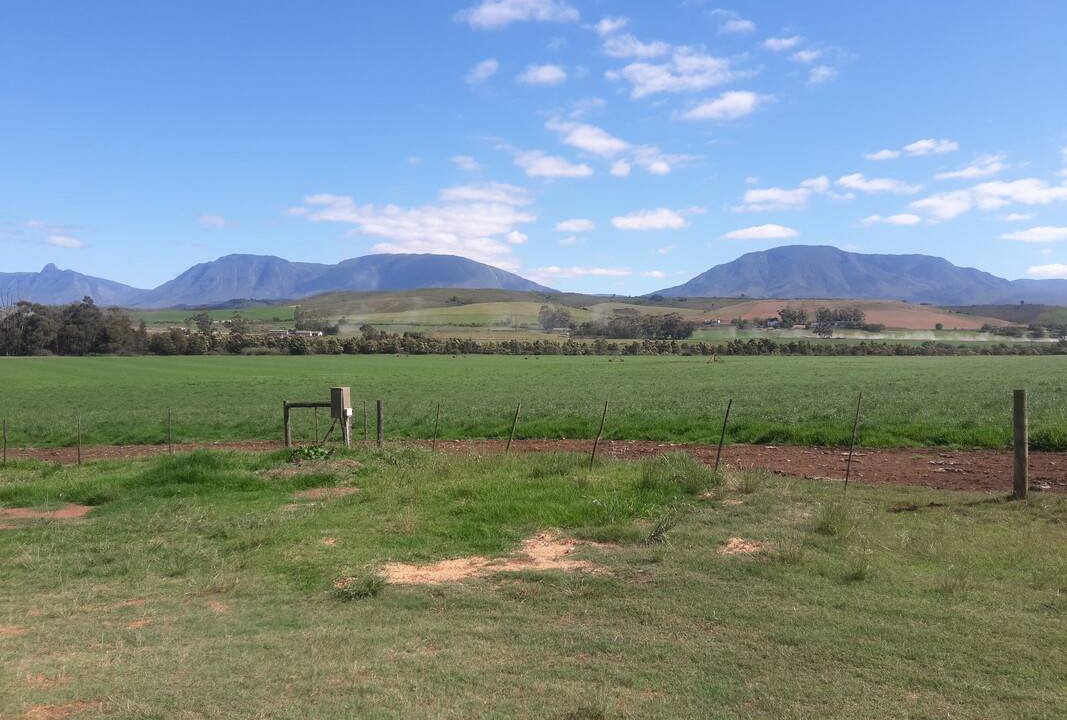 Photo of Others in Riversdale