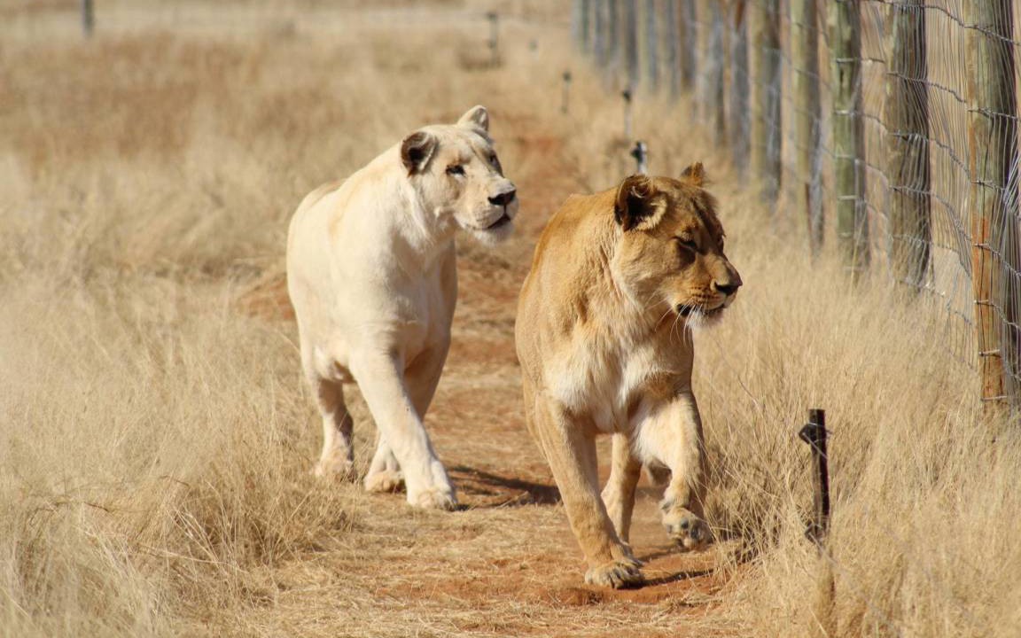 Photo of Others in Bloemfontein