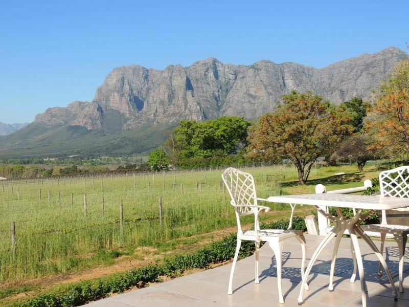 Photo of Others in Cape Winelands