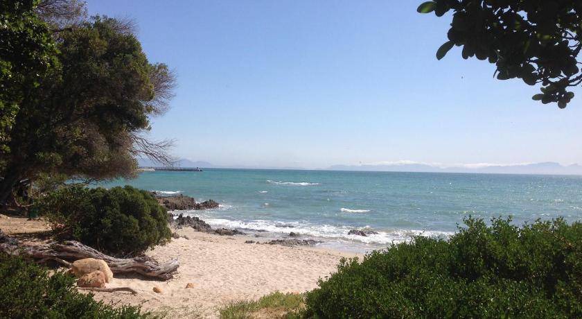 Photo of Others in Gordon's Bay