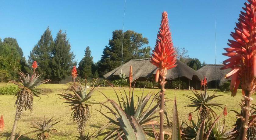 Photo of Others in Mkhondo