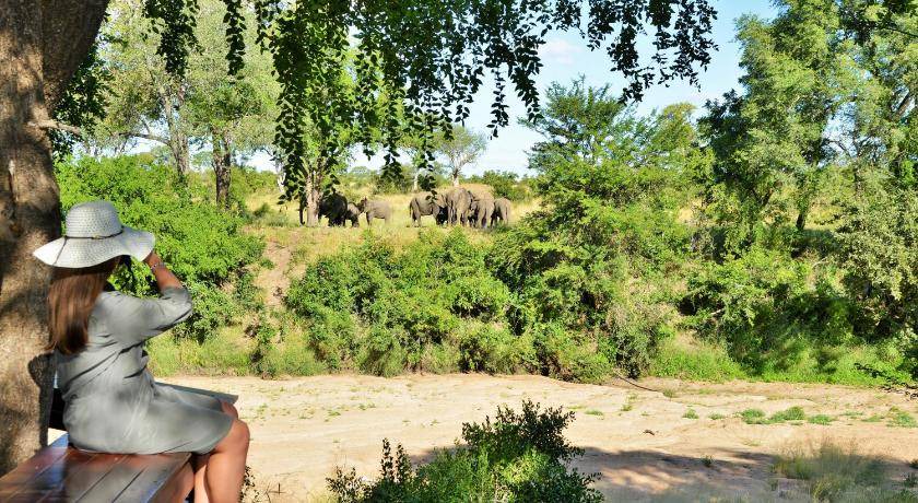 Photo of Others in Kruger National Park