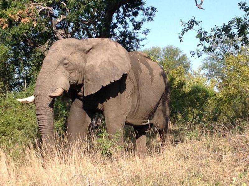 Photo of Others in Nelspruit