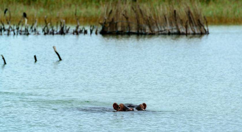 Photo of Others in Manguzi