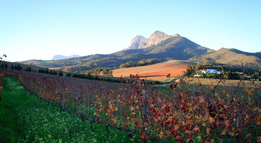 Photo of Others in Cape Winelands