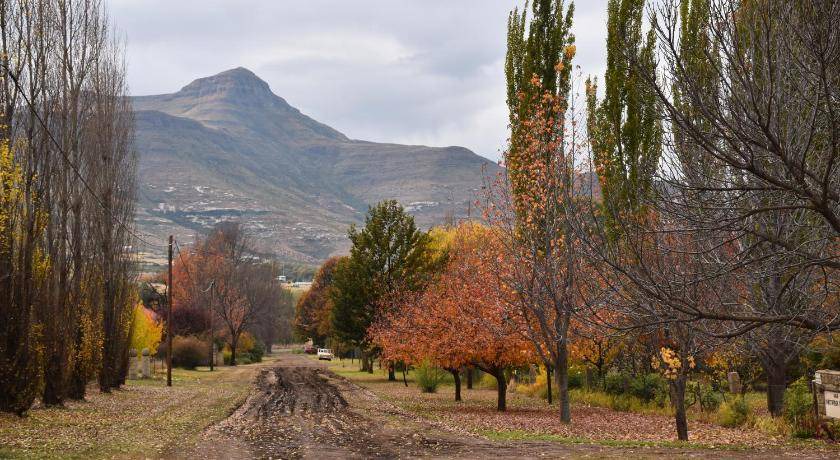 Photo of Others in Clarens
