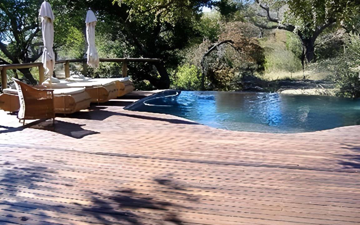 Photo of Others in Madikwe Game Reserve