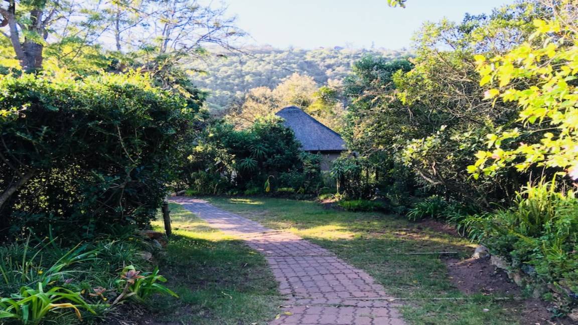 Photo of Others in Wilderness