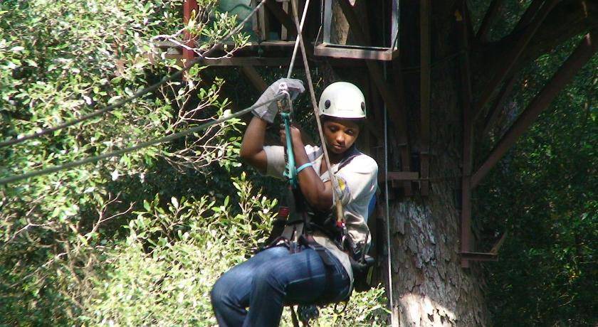 Photo of Others in Storms River