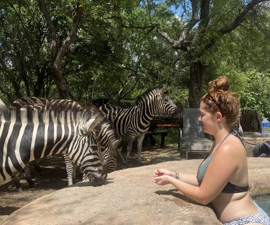 Photo of Others in Marloth Park