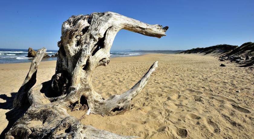 Photo of Others in Brenton-on-Sea