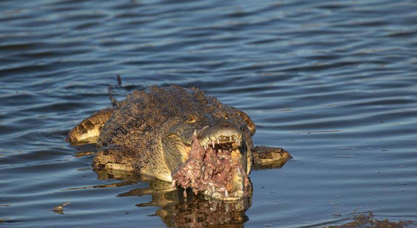 Photo of Human In Picture in Kruger National Park