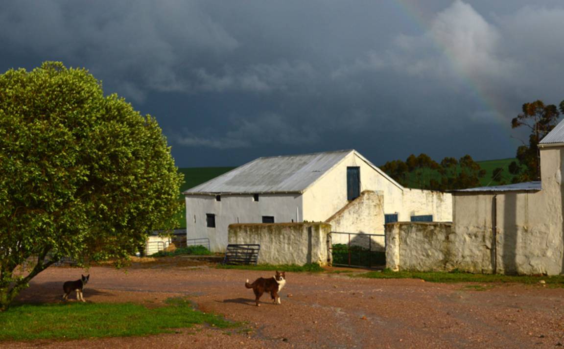 Photo of Others in Swartland