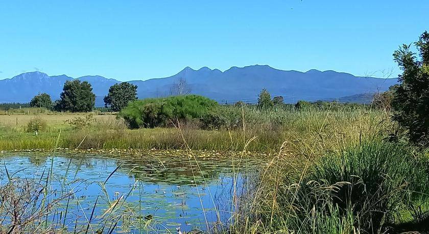 Photo of Others in Knysna