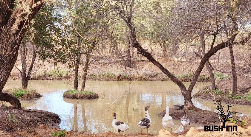 Photo of Others in Lephalale